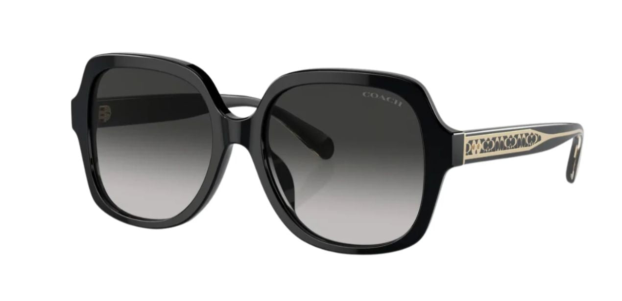 COACH HC 8395U 50023C