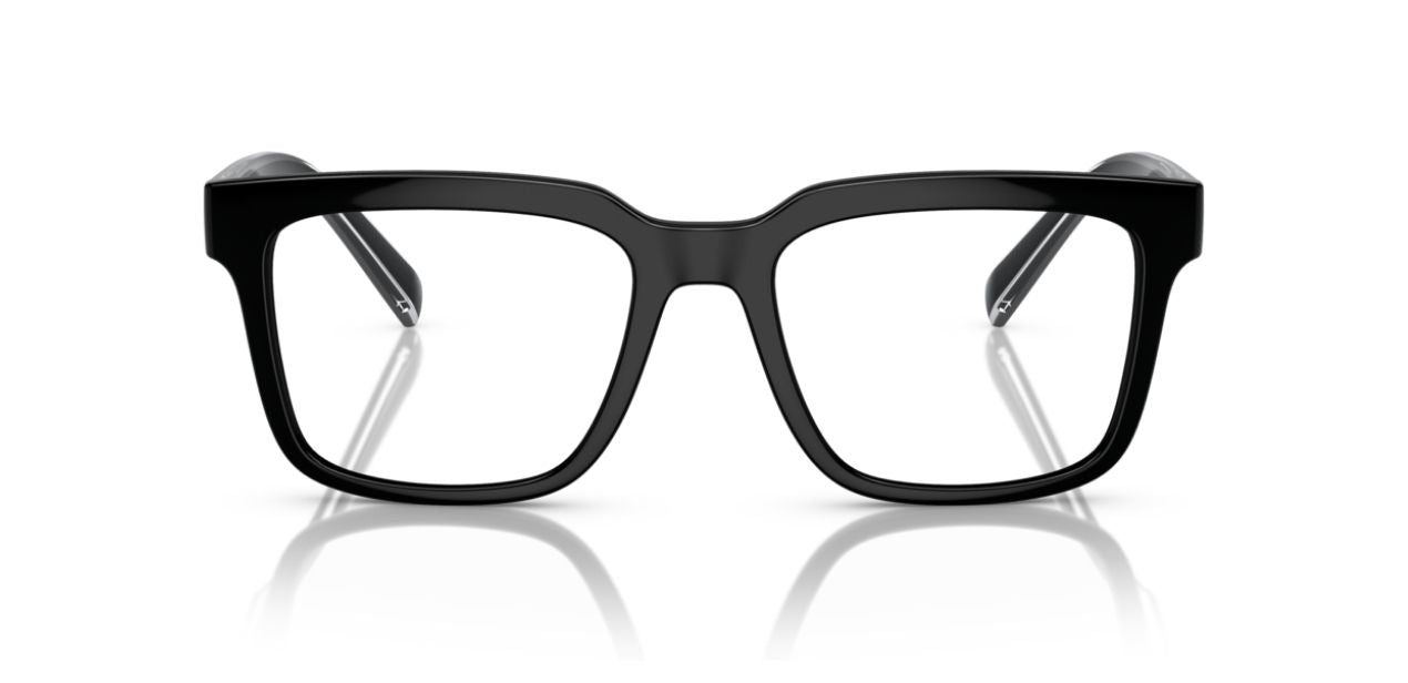 DOLCE & GABBANA DG 5101 501