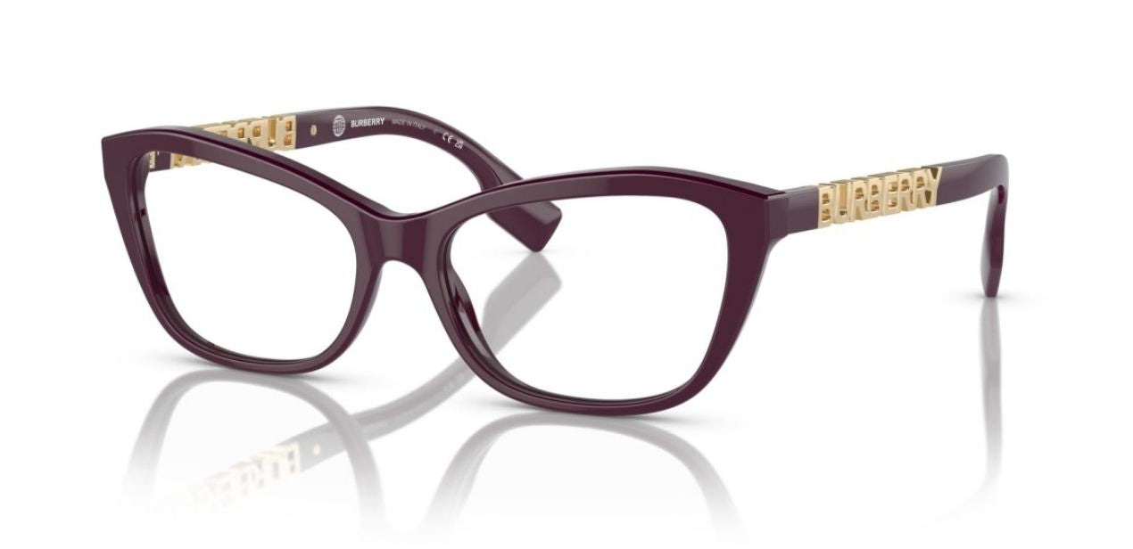 BURBERRY B 2392 3979