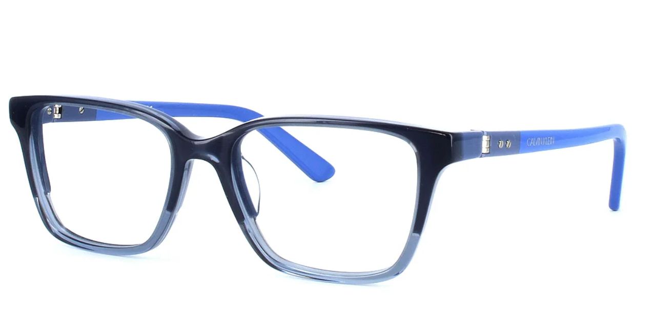 CALVIN KLEIN CK19506 419