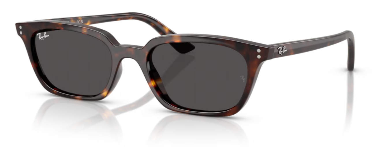 RAY-BAN RB 4456 1359/87