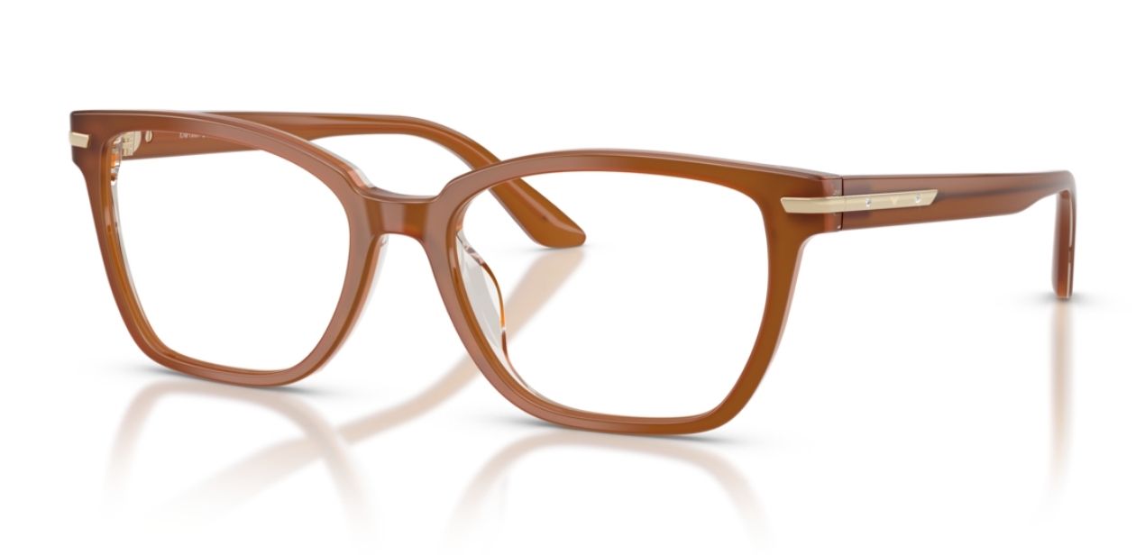 EMPORIO ARMANI EA 3282BU 6376