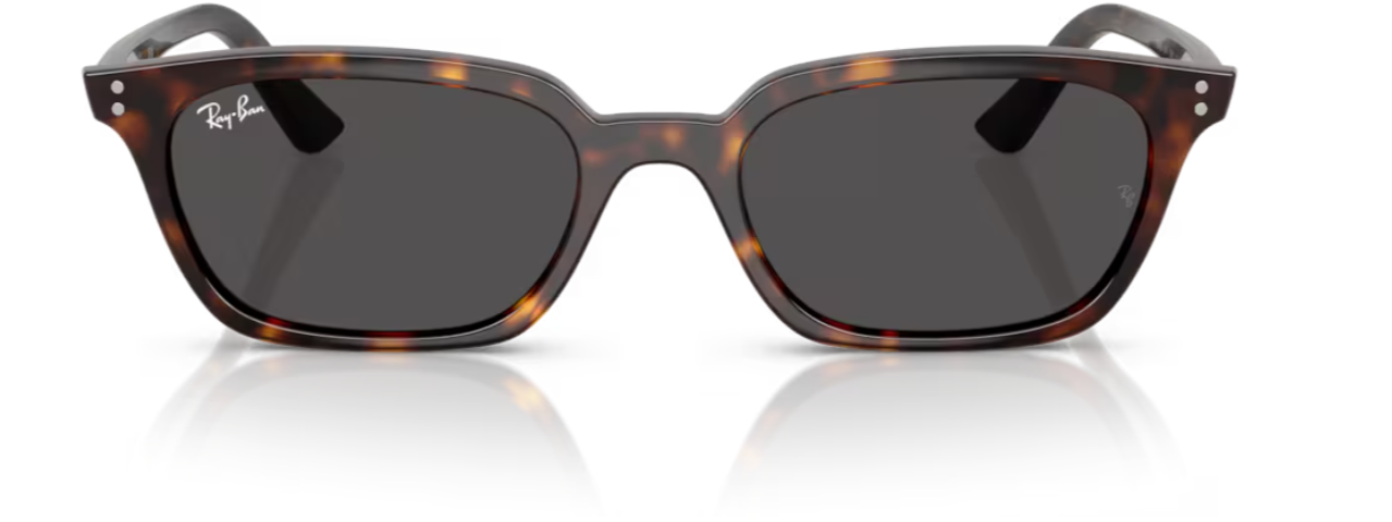 RAY-BAN RB 4456 1359/87