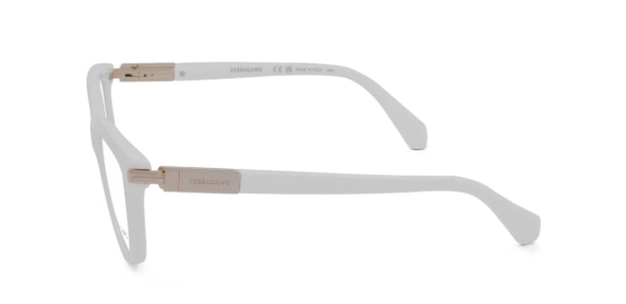 FERRAGAMO SF2974 103