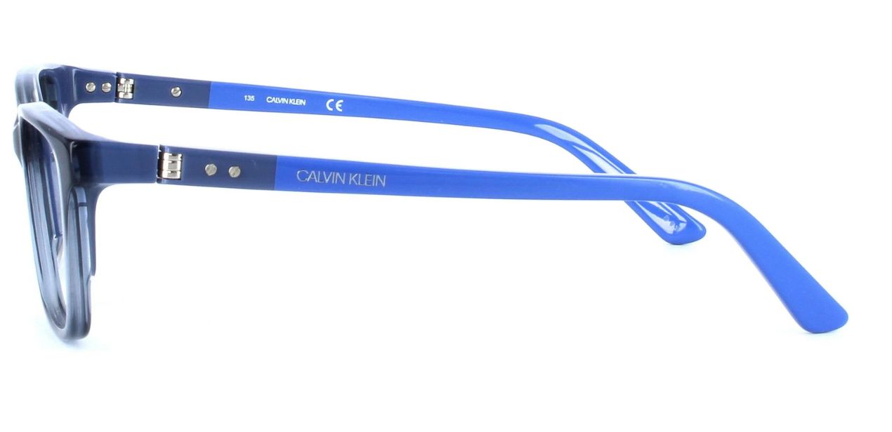 CALVIN KLEIN CK19506 419