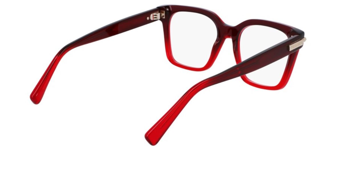 FERRAGAMO SF 3009 615