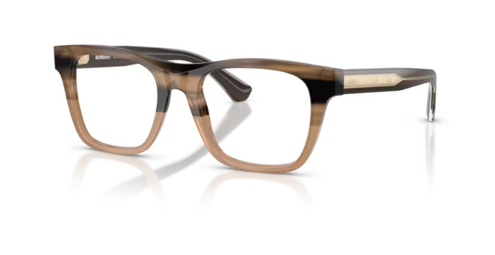 BURBERRY B 2445 4207