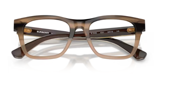 BURBERRY B 2445 4207