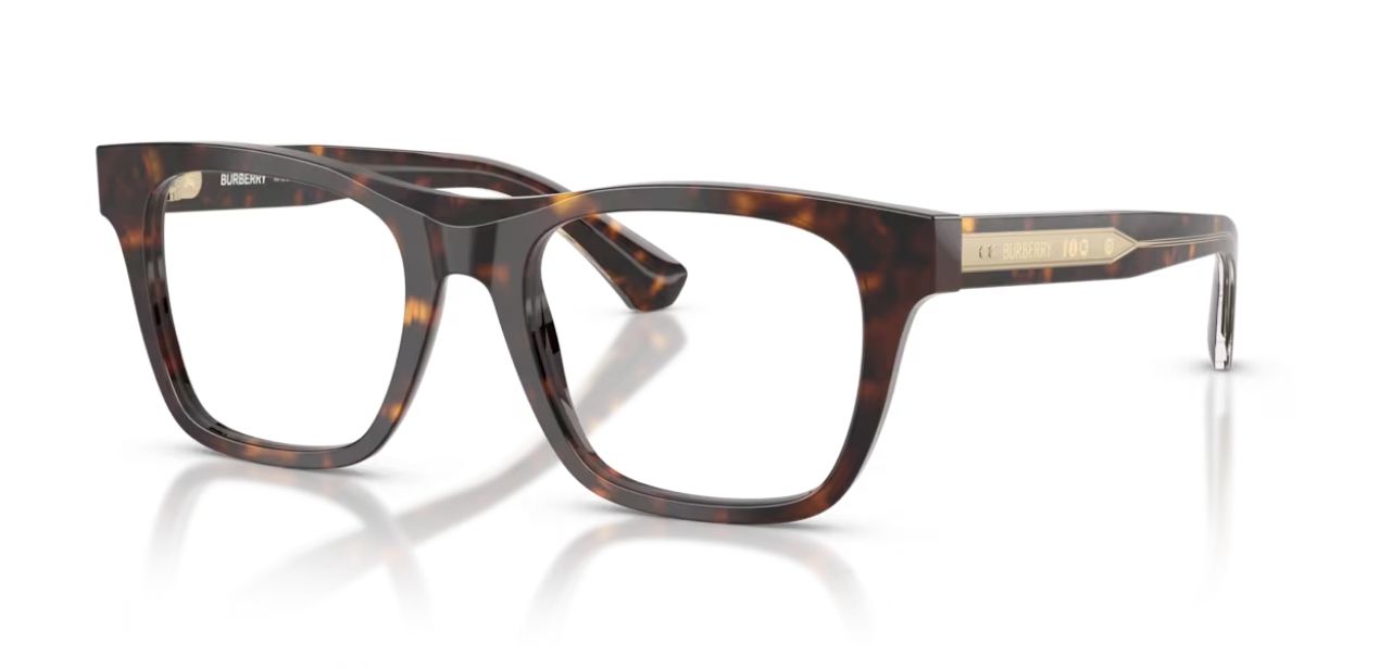BURBERRY B 2445 4205