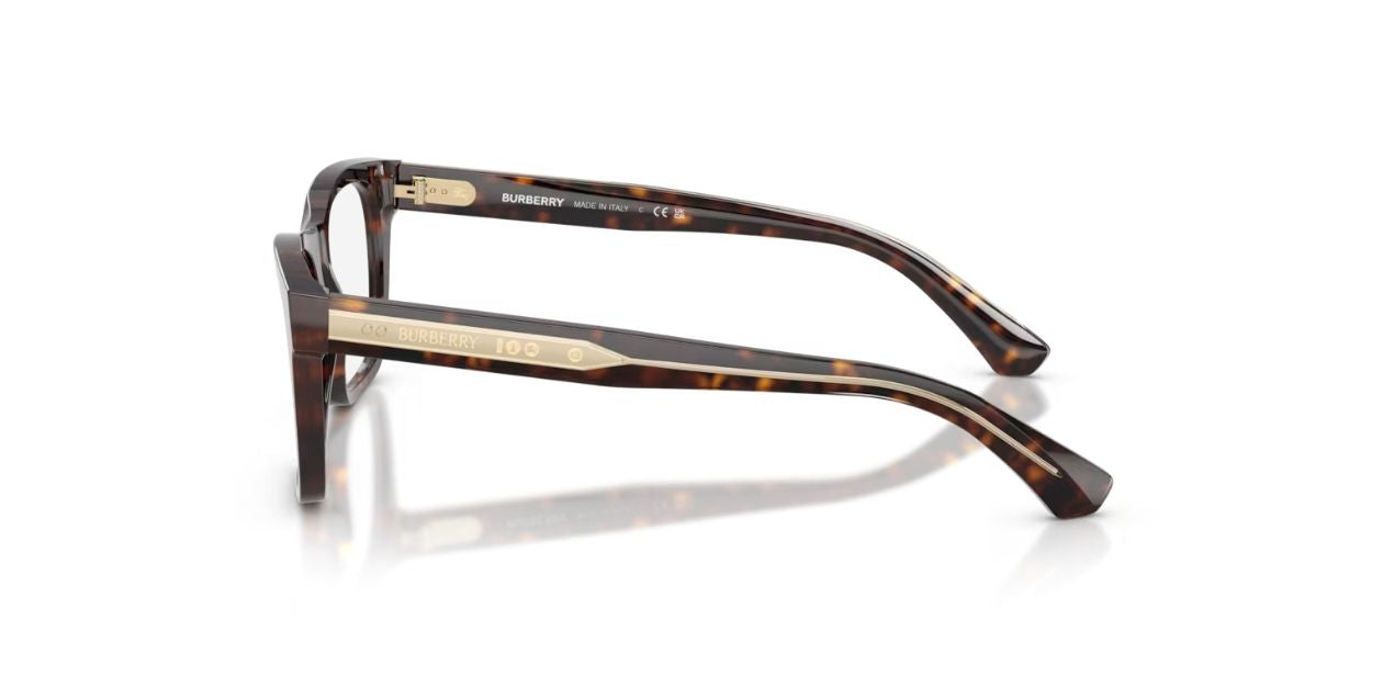 BURBERRY B 2445 4205