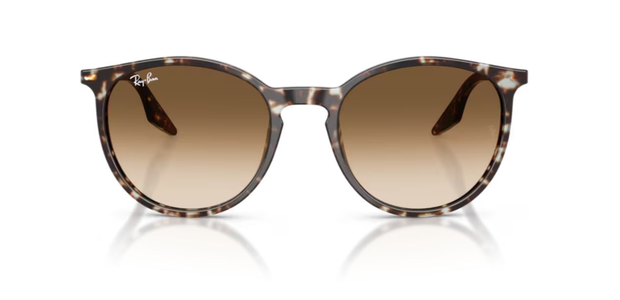 RAY-BAN RB 2204 1431/51
