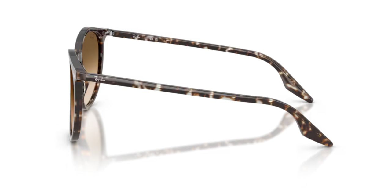 RAY-BAN RB 2204 1431/51