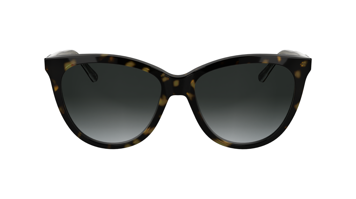 CALVIN KLEIN CK25508S 240