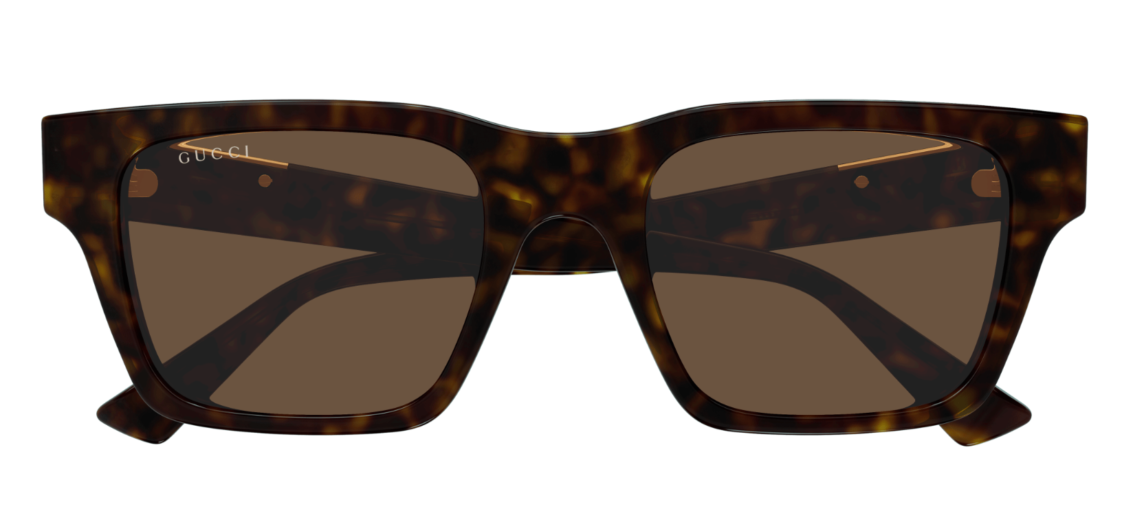 GUCCI GG1889S 002