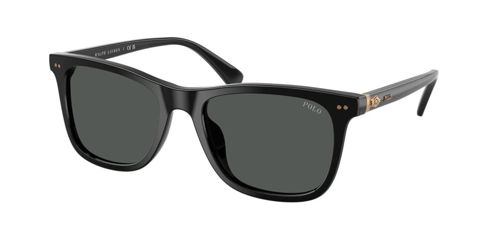 POLO RALPH LAUREN PH 4220F 5001/87