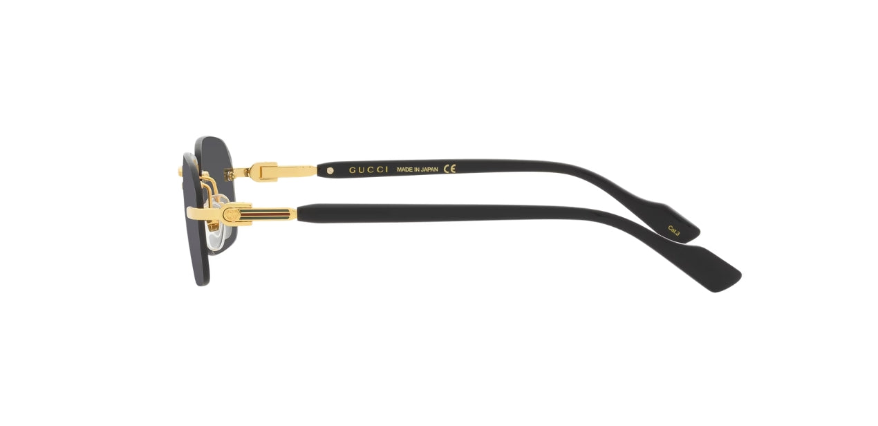 GUCCI GG1221S 001