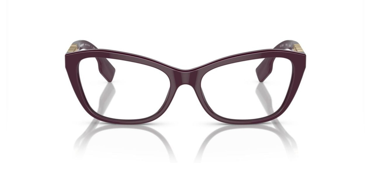 BURBERRY B 2392 3979