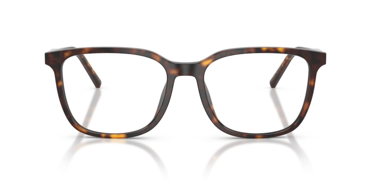 DOLCE & GABBANA DG 3445 502