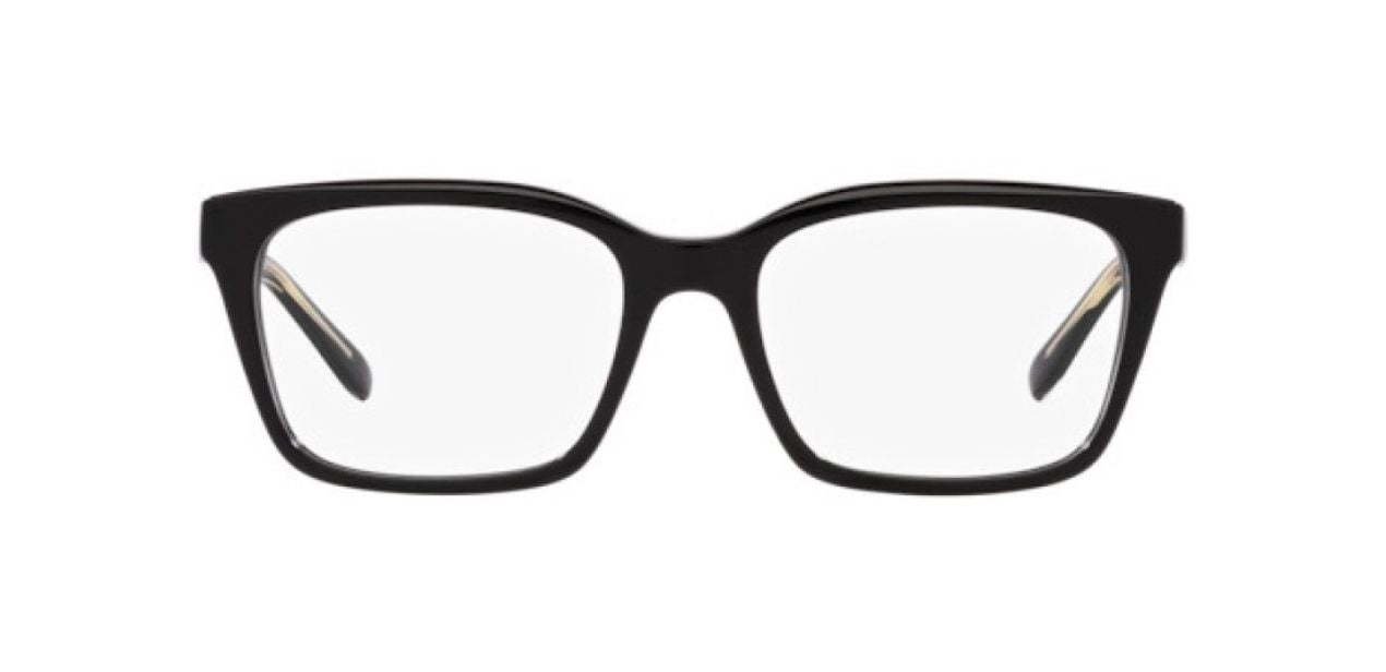 EMPORIO ARMANI EA 3219 5017