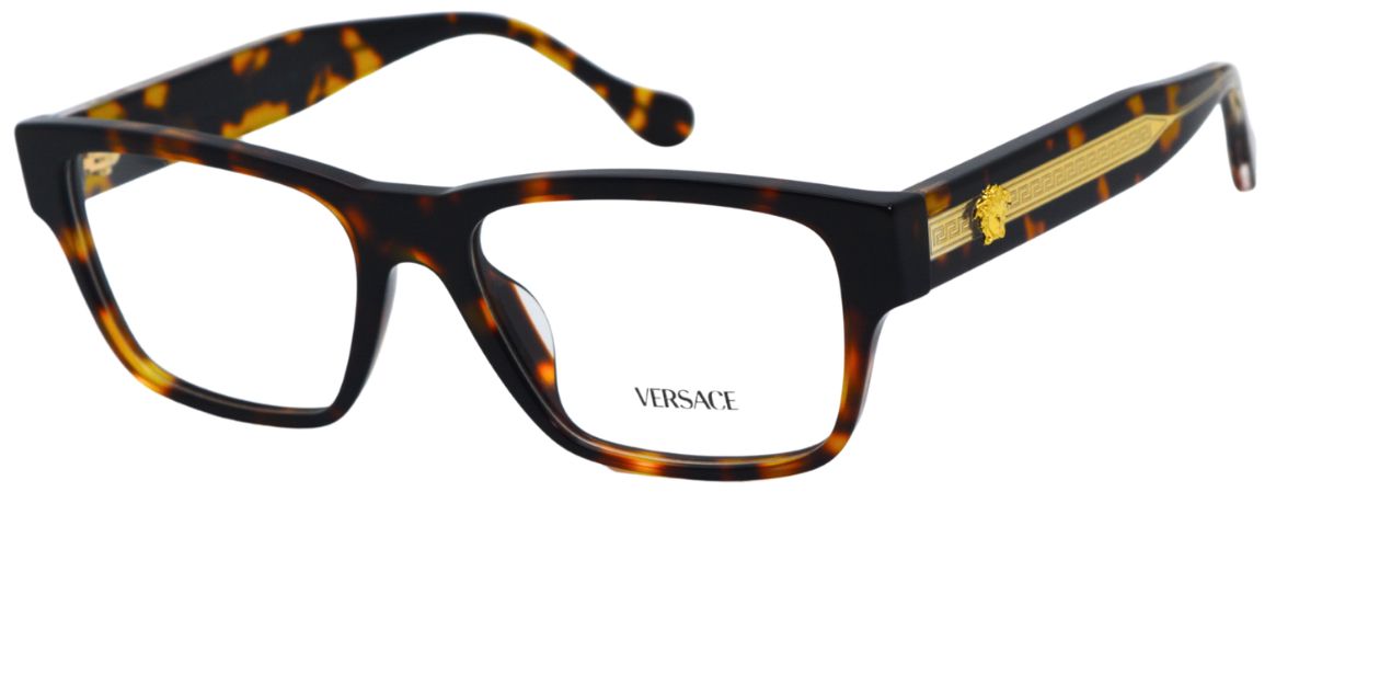 VERSACE 3390 5537