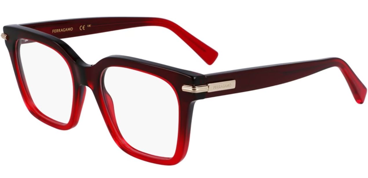 FERRAGAMO SF 3009 615
