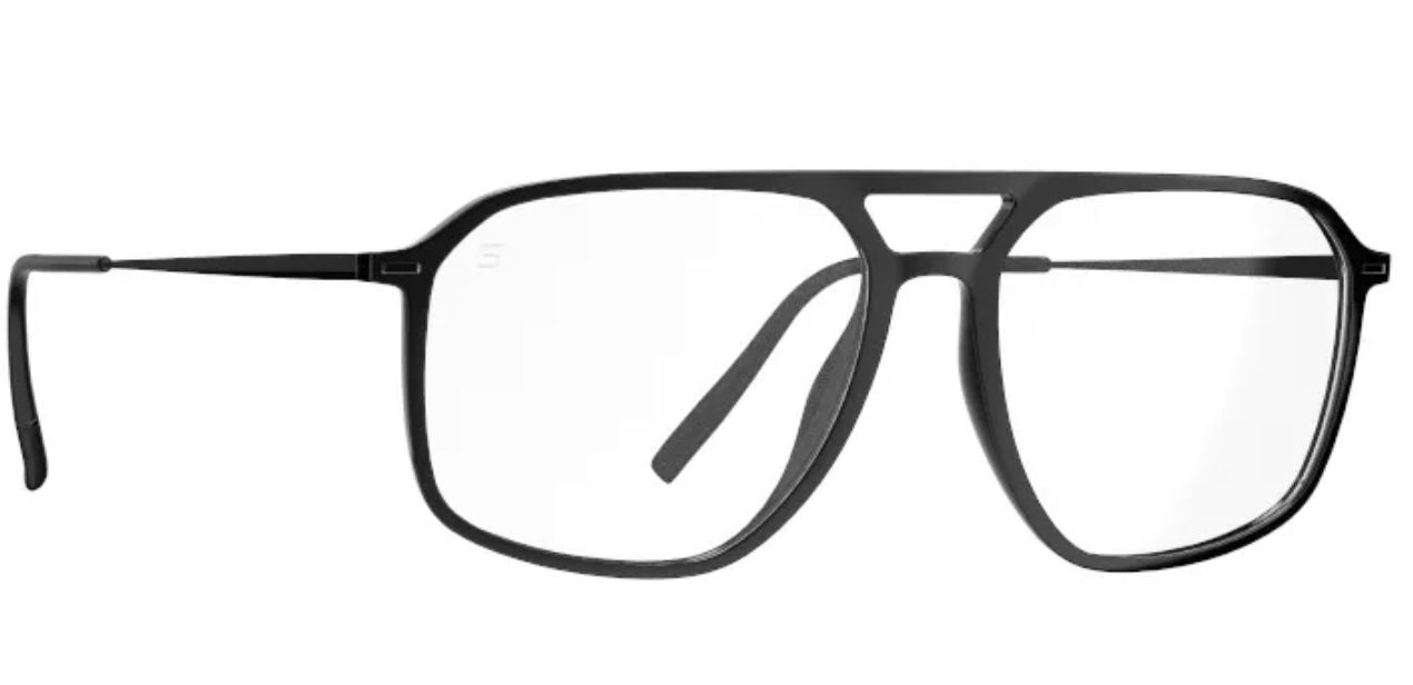 SILHOUETTE 2969 9540