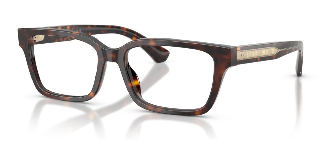 BURBERRY B 2453 4205