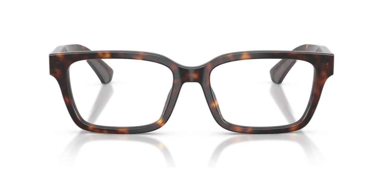 BURBERRY B 2453 4205