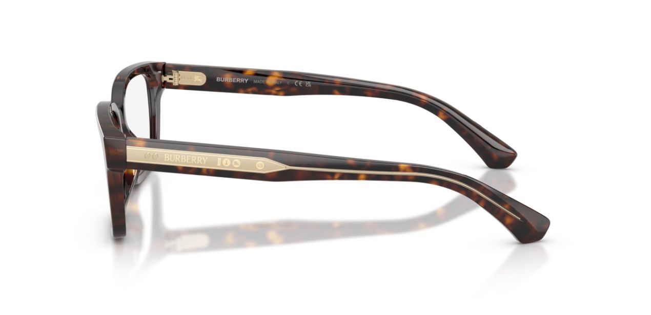BURBERRY B 2453 4205