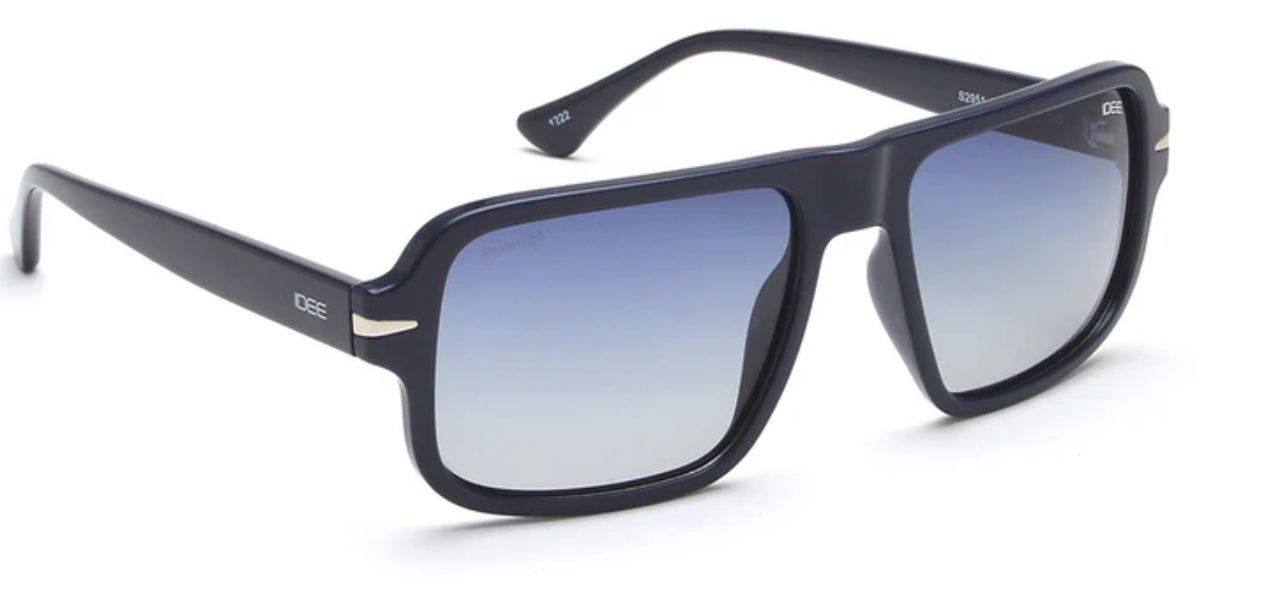 IDEE 2951 C1P