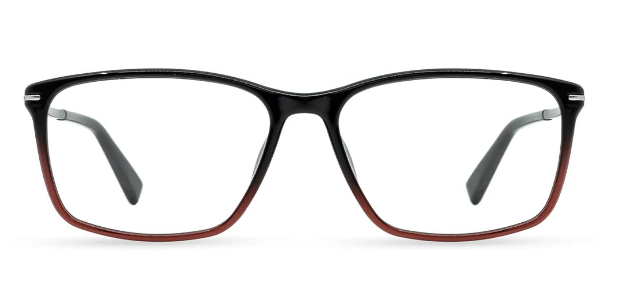 TOMMY HILFIGER TH 6235 C2