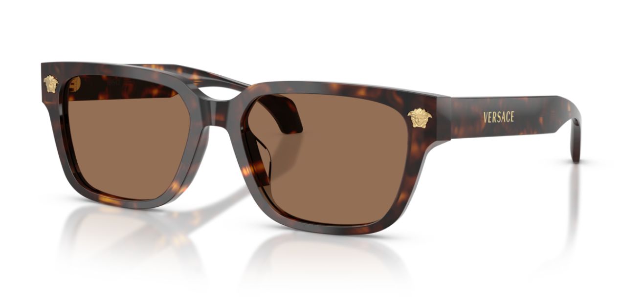 VERSACE VE 4513-D 108/73