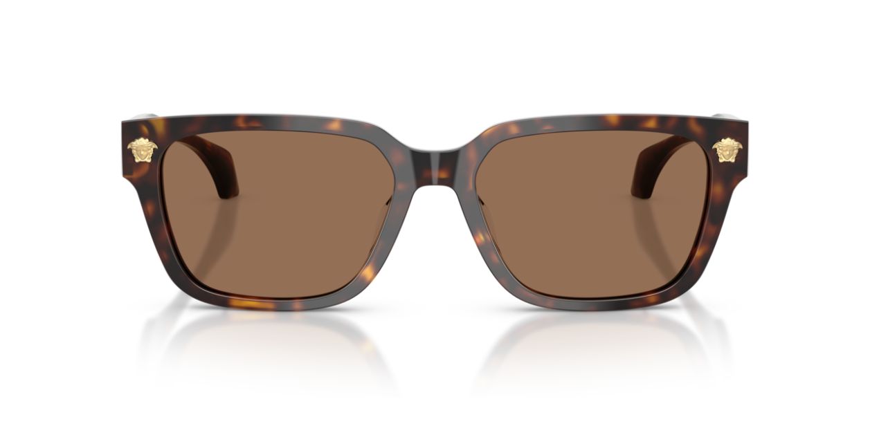 VERSACE VE 4513-D 108/73