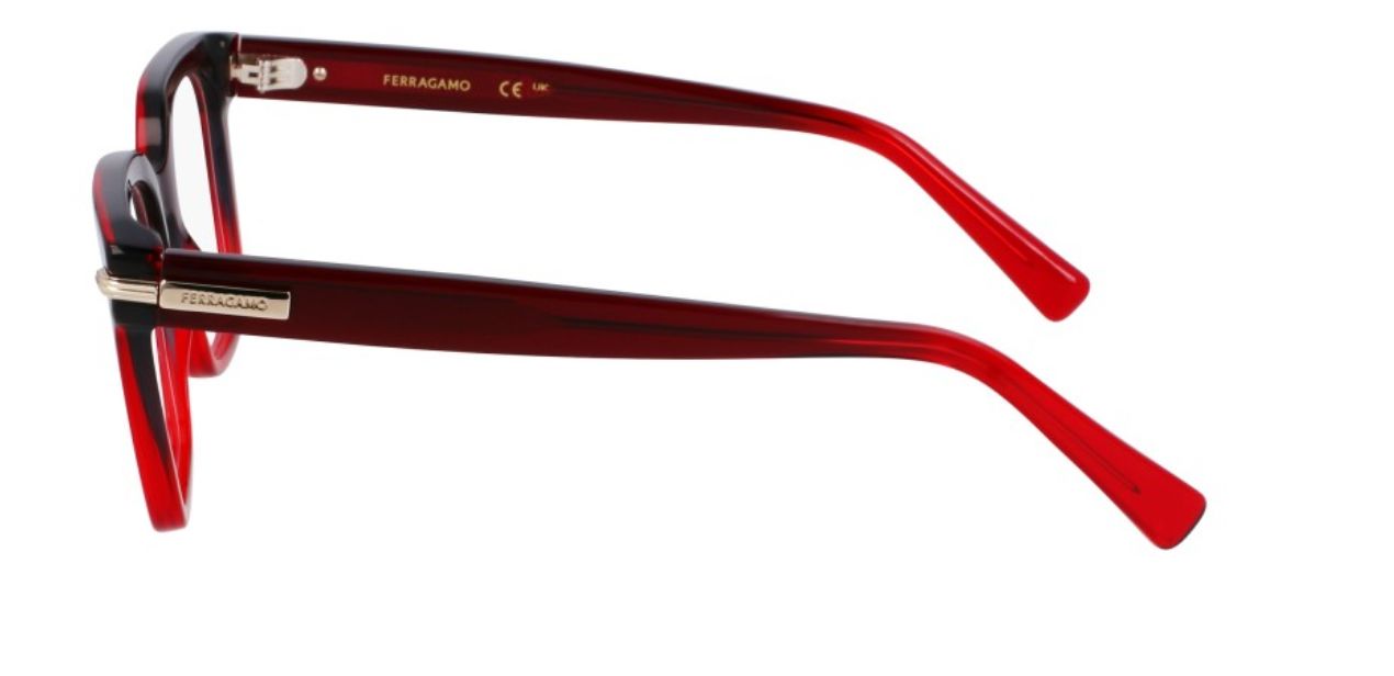 FERRAGAMO SF 3009 615
