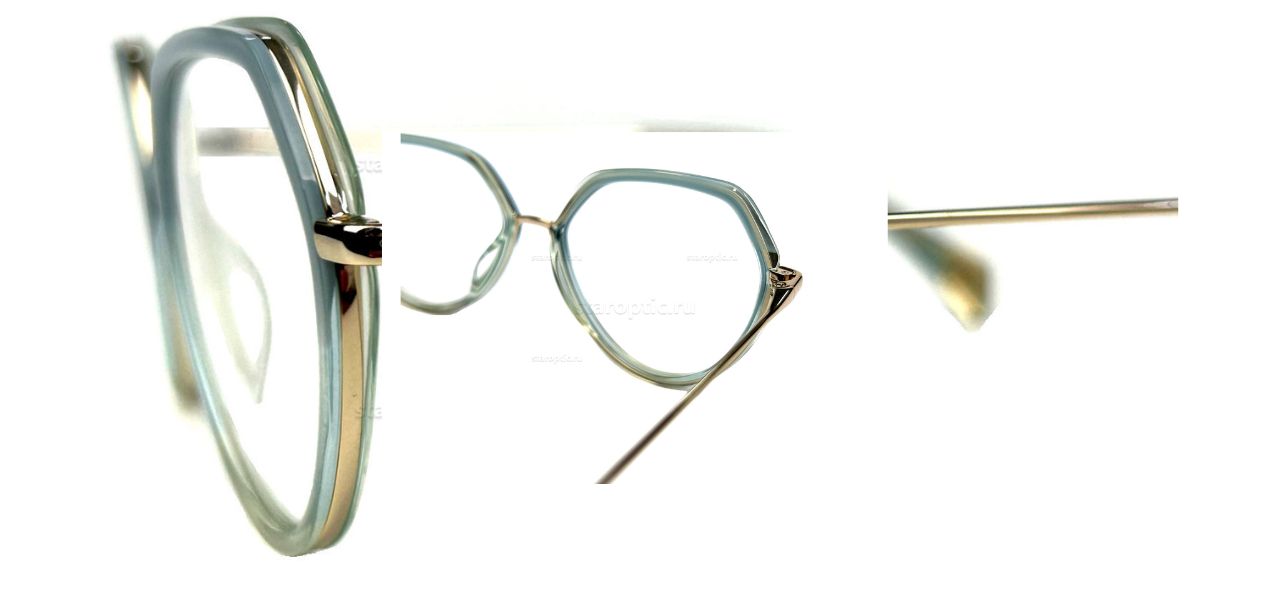WILLIAM MORRIS ZARA C2