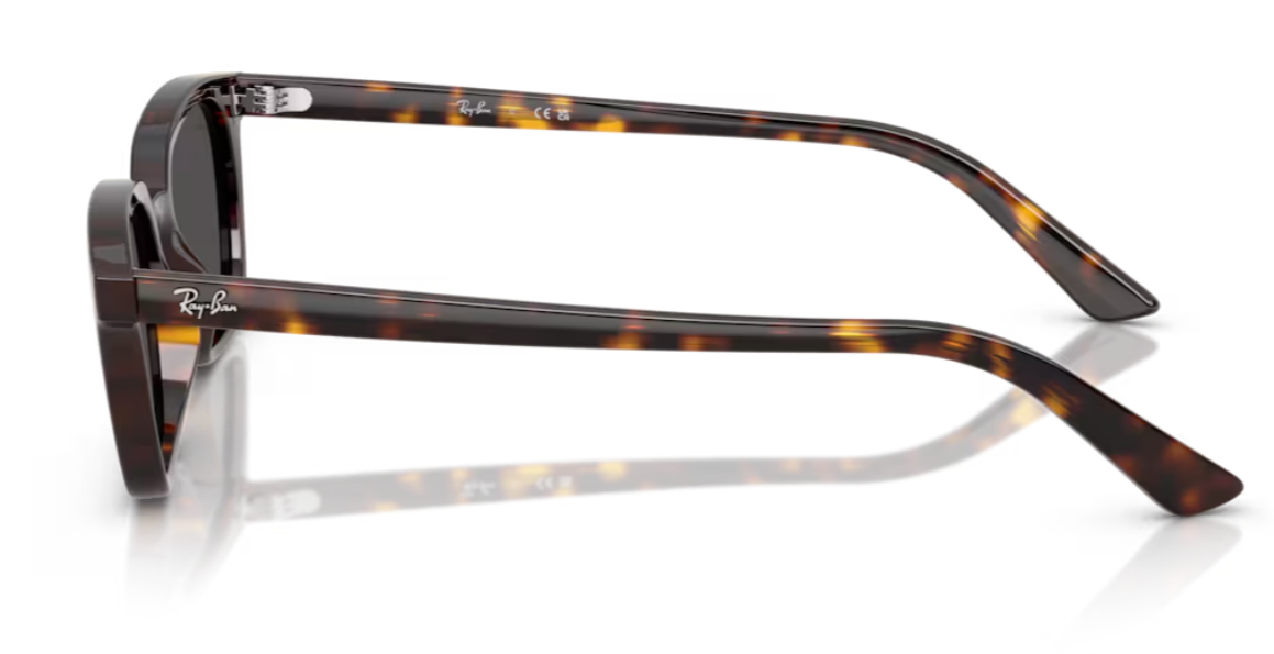 RAY-BAN  RB 4456 1359/87