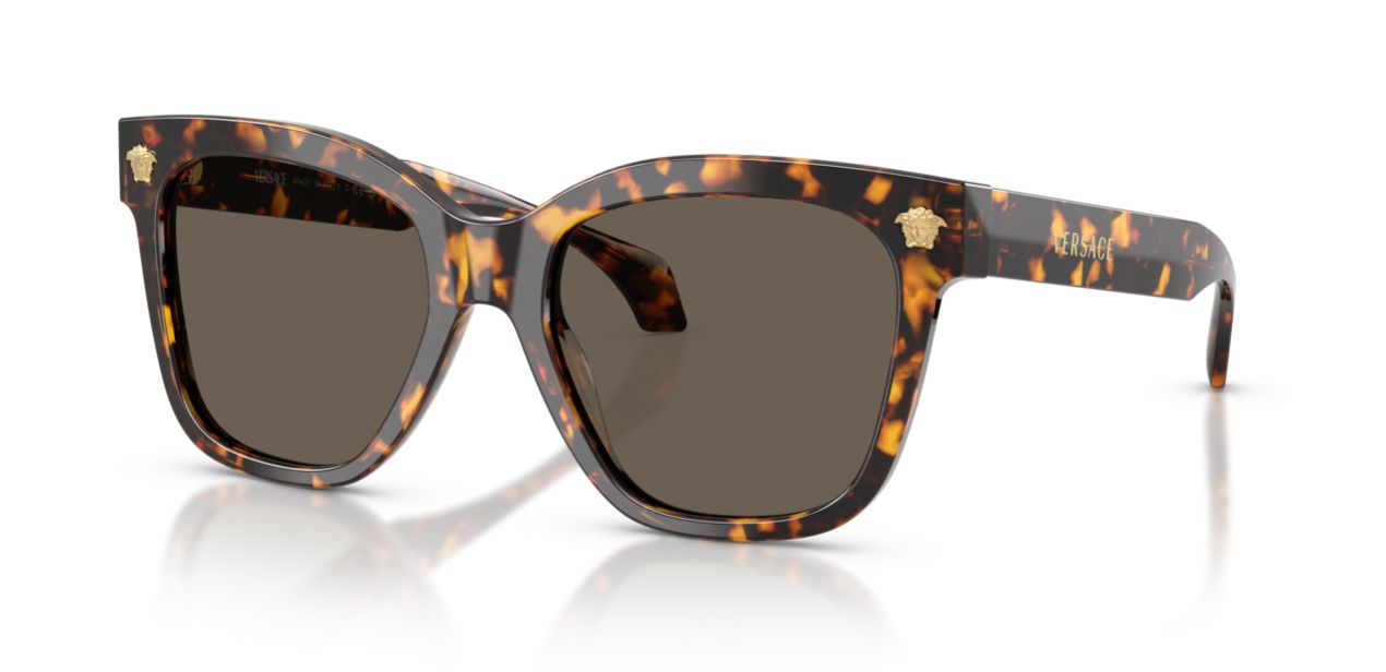 VERSACE VE 4511 5541/13