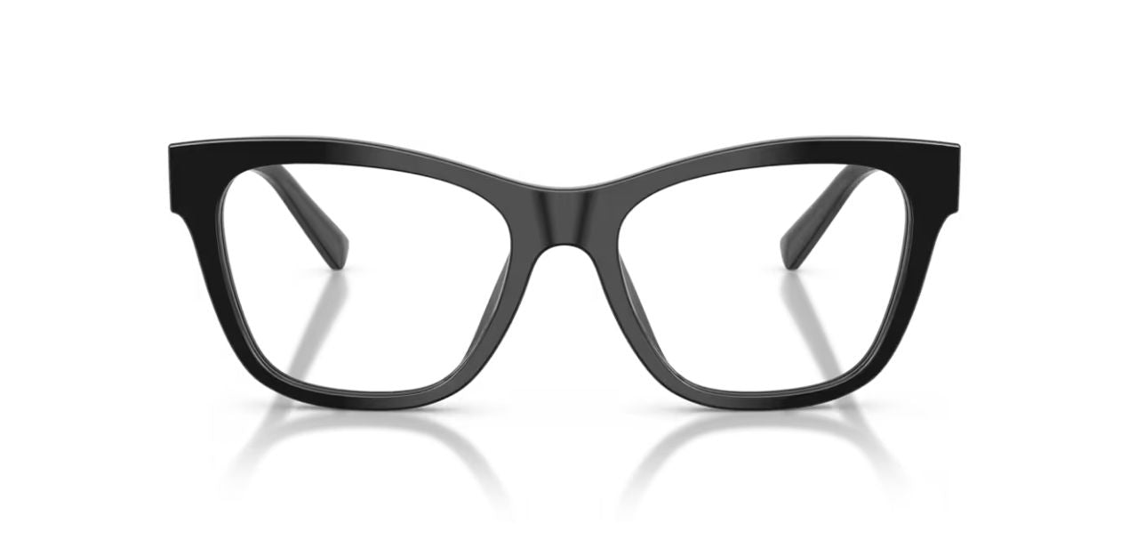 DOLCE & GABBANA DG 3430 501