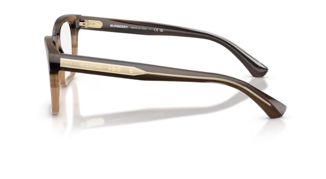BURBERRY B 2445 4207