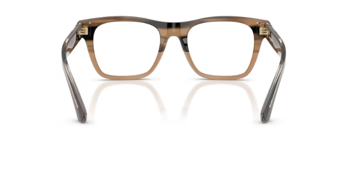 BURBERRY B 2445 4207
