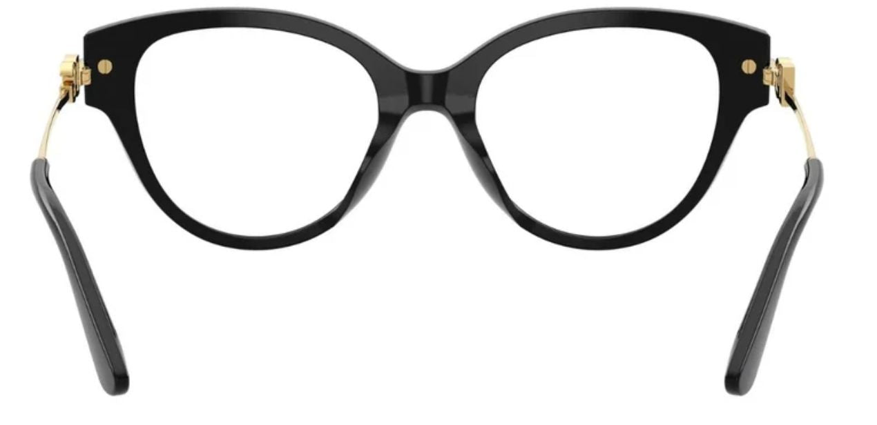 DOLCE & GABBANA DG 3438 501