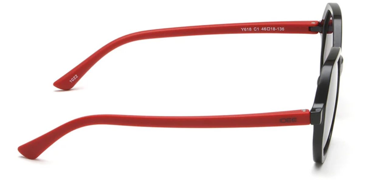 IDEE Y618 C1
