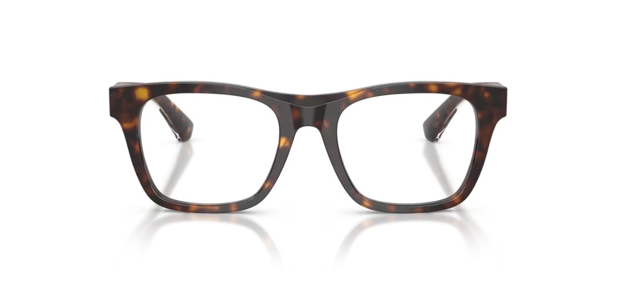 BURBERRY B 2445 4205