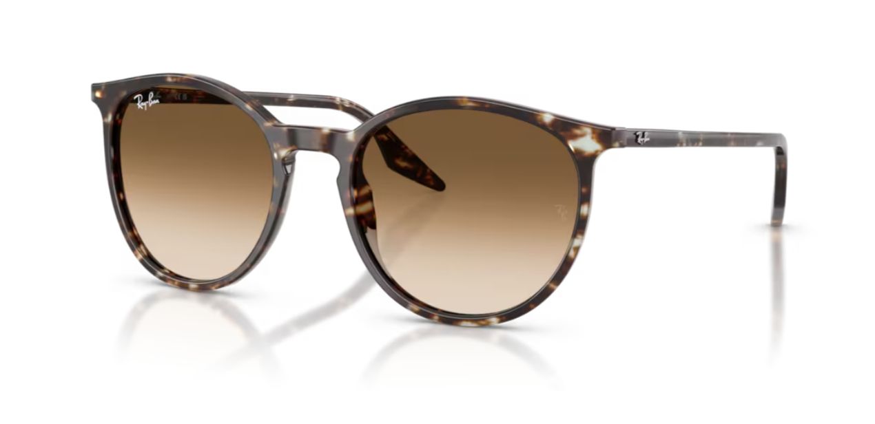 RAY-BAN  RB 2204 1431/51