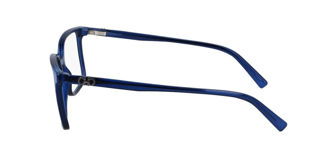 FERRAGAMO  SF2954 420