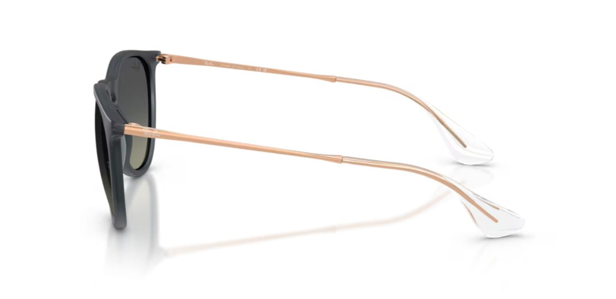RAY-BAN  RB 4171 6813/11