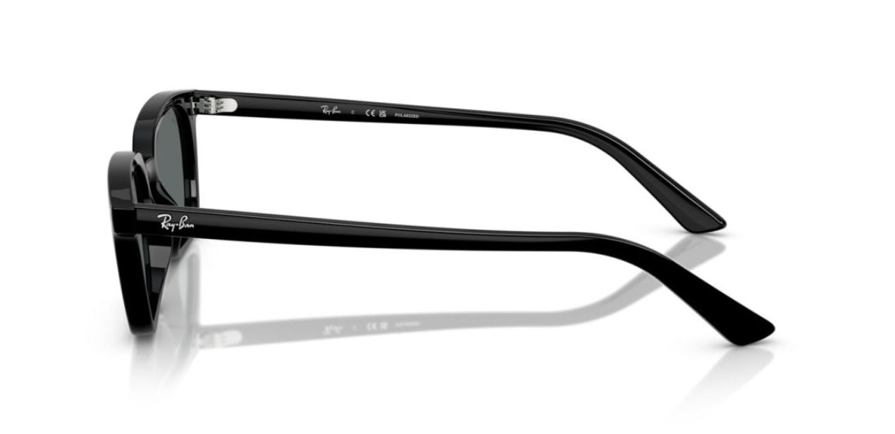 RAY-BAN  RB 4456 6677/81