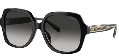 COACH HC 8395U 50023C