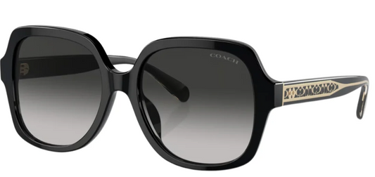 COACH HC 8395U 50023C