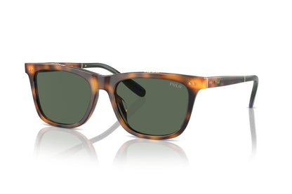 POLO RALPH LAUREN  PH 4205U 6089/71
